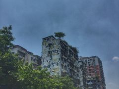 -黄桷坪涂鸦艺术街