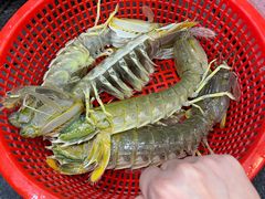 -醉壹号海鲜大排档(厦门美食地标店)