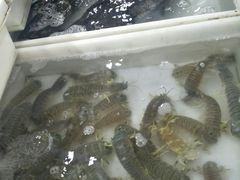 -拉威海鲜市场