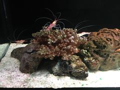 -暹罗海洋世界