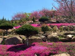 -石岛赤山风景区