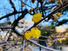 -月坛公园