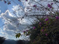 -腾冲洞山温泉村