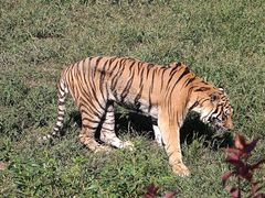 -沈阳森林动物园