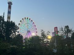 -花博汇(知音花月夜)