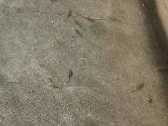 -咸宁万豪温泉谷度假区