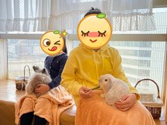 -猫猫幼稚园·撸猫·桌游·电玩