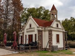 -上海共青森林公园