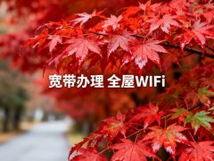 -闪电修企业手机电脑回收(西湖风景名胜区店)