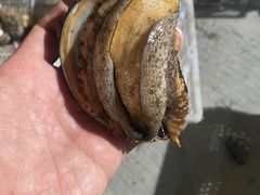 -阿弟特色海鲜餐厅·大排档(平潭店)