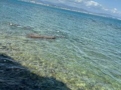 -三亚西岛海洋文化旅游区