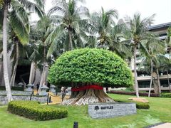 -海南清水湾莱佛士酒店