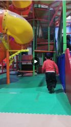 -爱丽丝奇幻乐园