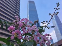 -云·酷 Atmosphere(国贸大酒店)