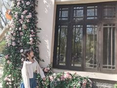 -也枫·小黄楼(南山路旗舰店)