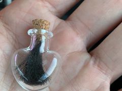 -翡翠森林宠物火化殡葬(通州店)