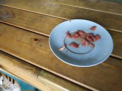 -小象钓虾·营地烧烤(洛溪店)