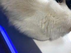 -零纪元VR体验馆·桌游(黄浦店)