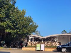 -深圳湾公园-停车场