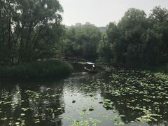 -紫竹院公园冰场