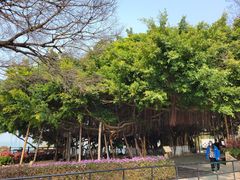 -胡里山炮台