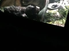 -中影国际影城(神农万达广场CINITY店)