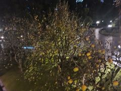 -上海虹桥迎宾馆