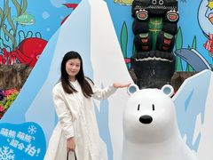 -海合安成都极地海洋公园
