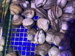 -青蓬蒸汽海鲜·深圳老字号·团建聚会(壹方城店)