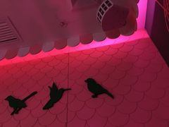 -欢乐迪KTV(观音桥未来国际店)