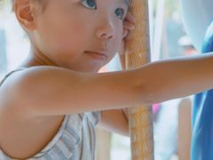 -合肥滨湖国家森林公园