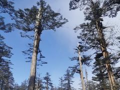 -瓦屋山景区