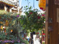 -民食香·腊排骨野生菌美食(木府店)