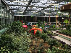 -南宫五洲植物乐园