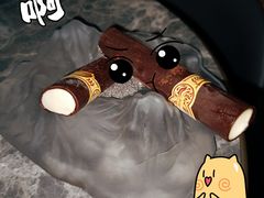 -Hi City·城市之巅