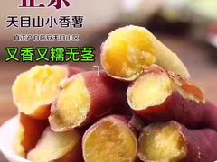 -先春西湖龍井•九曲红梅(杭大路店)