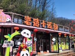 -栾川竹海野生动物园