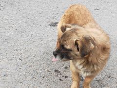 -终南山南五台景区