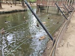 -沈阳鸟岛