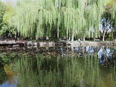 -玲珑塔公园