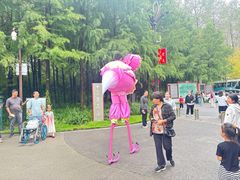 -黄海国家森林公园