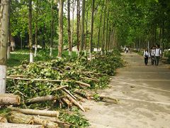 -青岛第三海水浴场