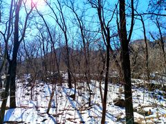 -阳台山自然风景区