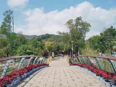 -牛岗山公园