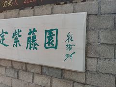 -嘉定紫藤园