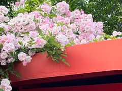 -丹东路渡口(轮渡站)