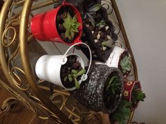 -eleven青年旅舍(成都春熙路店)