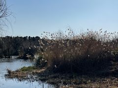 -捞渔河湿地公园
