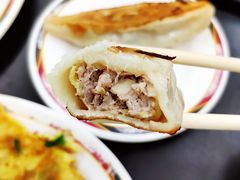 鲜肉锅贴-台北内湖来来豆浆(高雄店)