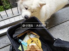 -瑞虹新天地月亮湾